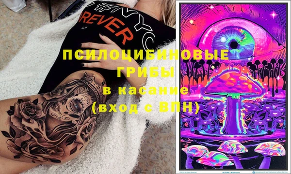 прущие грибы Абинск
