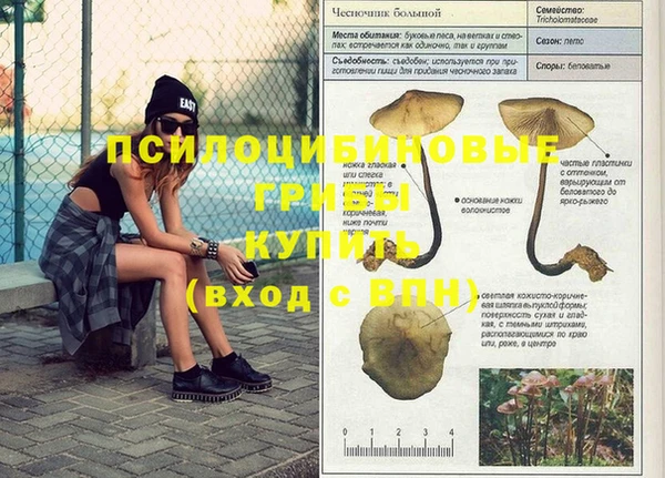 прущая мука Абаза