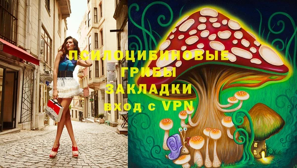 прущие грибы Абинск