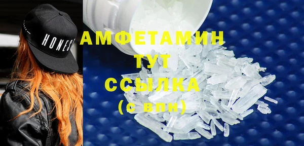 прущие грибы Абинск