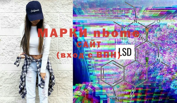 прущие грибы Абинск