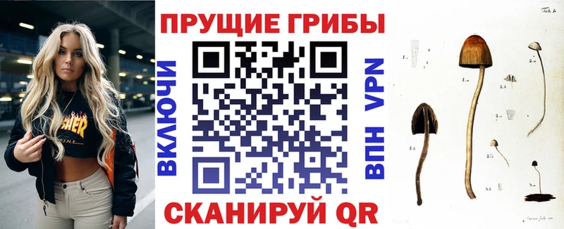 Псилоцибиновые грибы прущие грибы Торопец